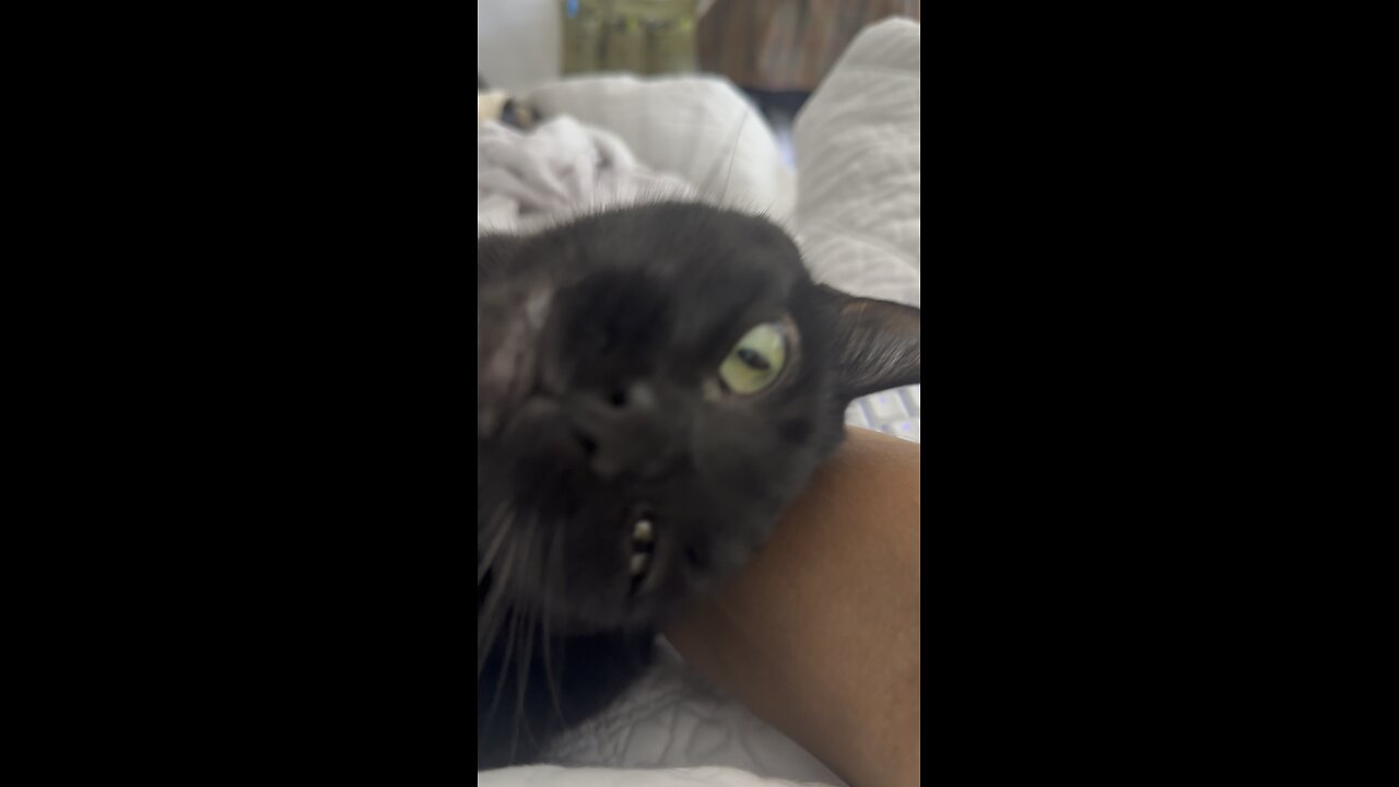 Midnight Arm Hugs