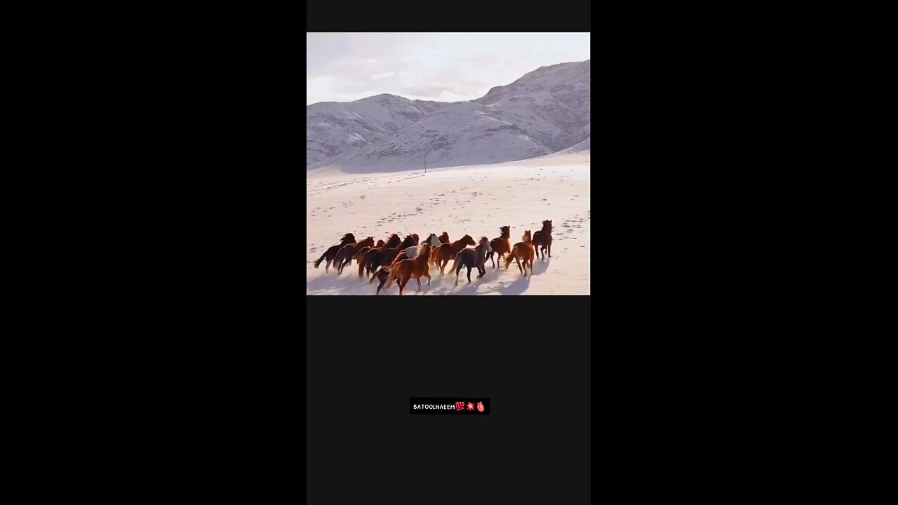 #foryoupage#viralvideo