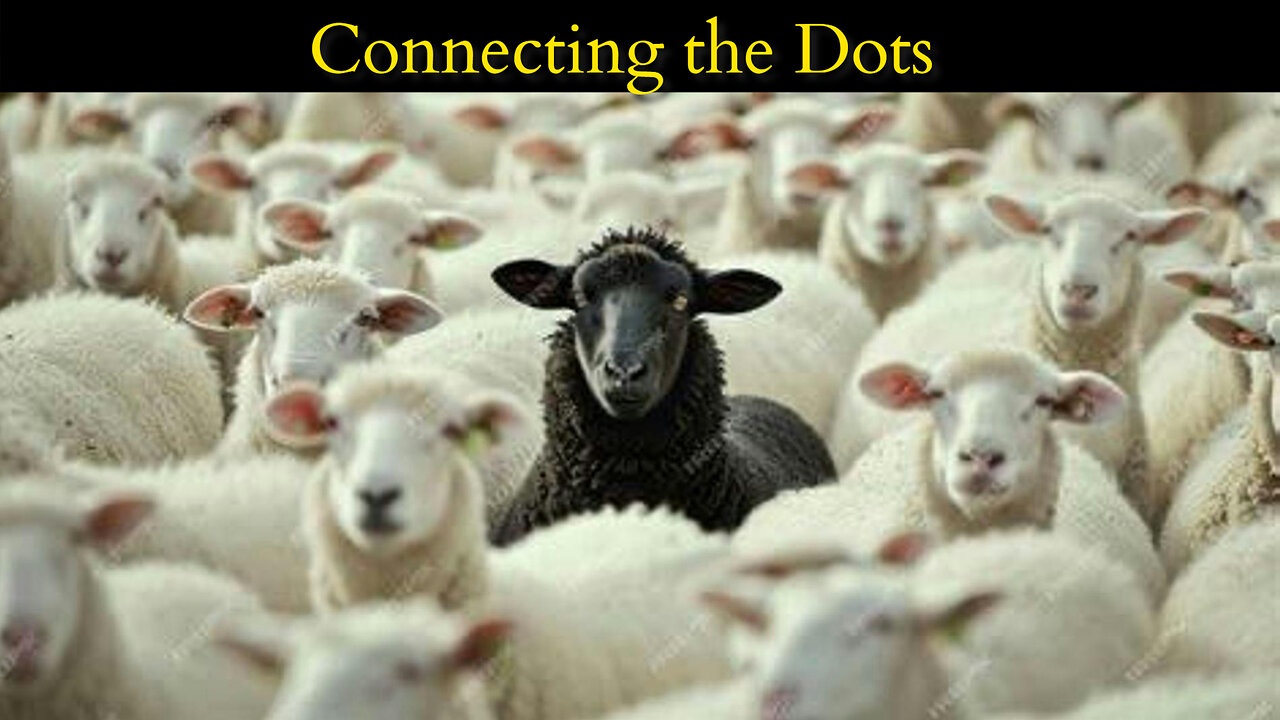 LESSONS FOR THE HERD MENTALITY