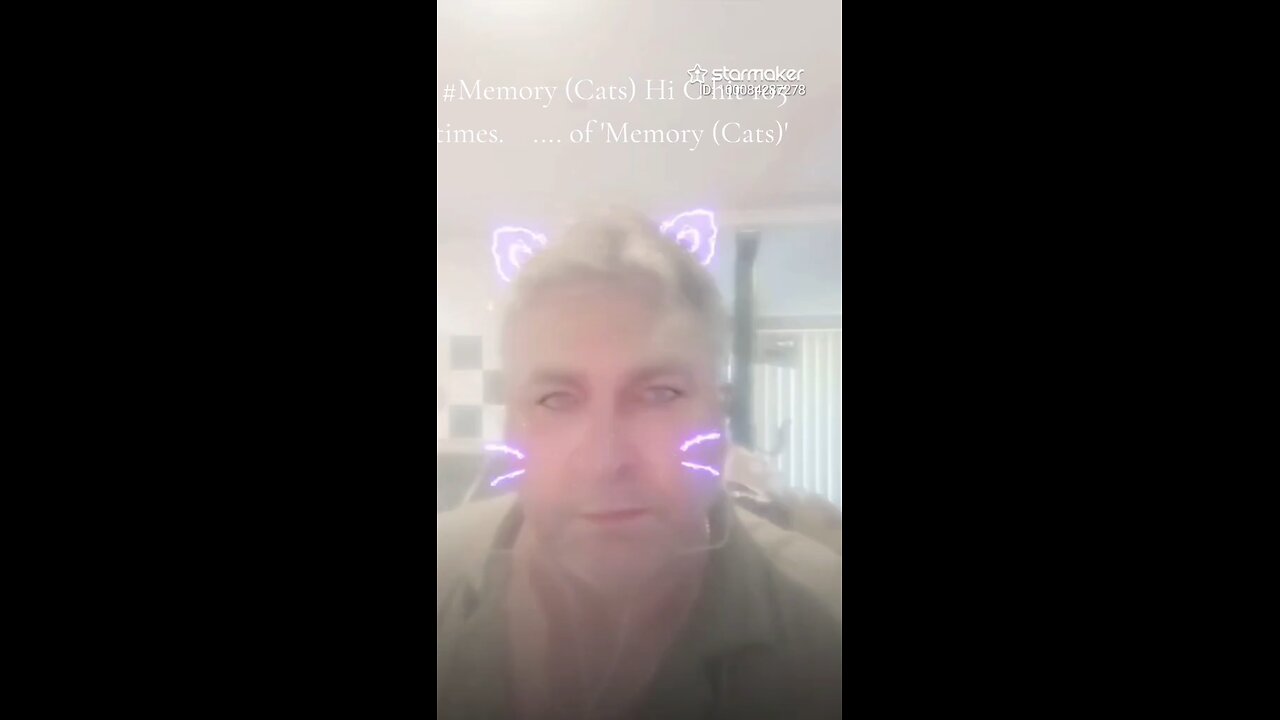 Memory Catz 🐈 😻 🐈‍⬛️ 😺 🐱