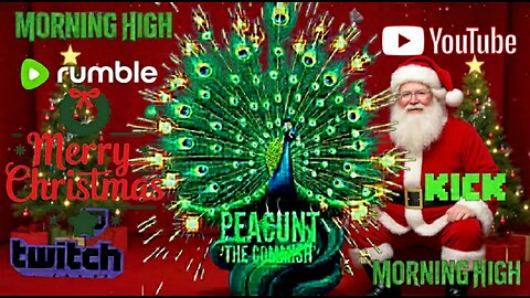 MORNING HIGH 🌞 CHRISTMAS🎄🎅🏻☁️☁️🚬🤘👀🦚