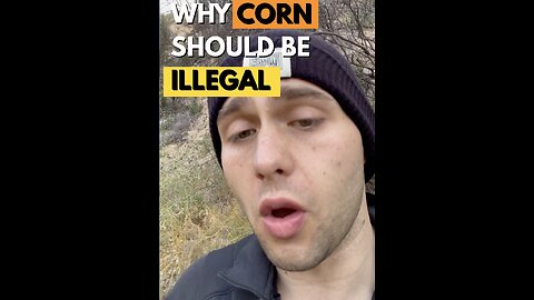 Why Corn* Should be Illegal