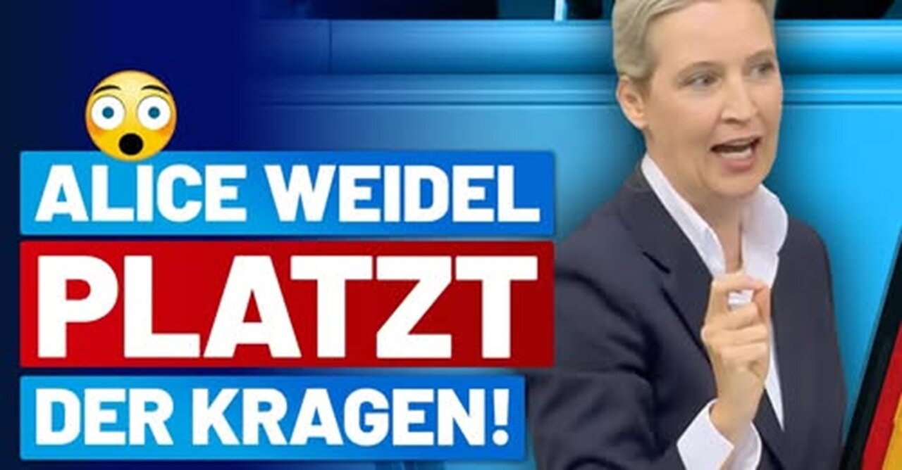 Alice Weidel - Generalabrechnung mit CDU-SPD-GRÜNE! - AfD-Fraktion
