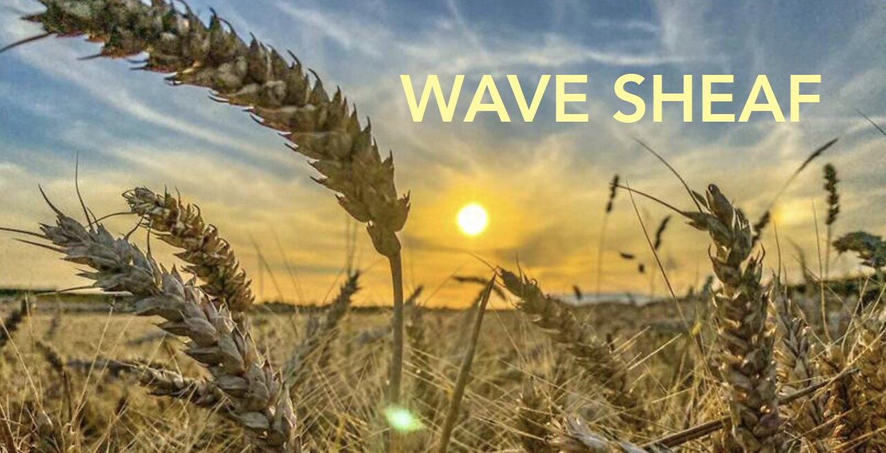 Wave Sheaf