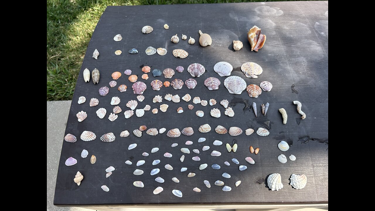 Beach Finds 4/16/2025 | 4K