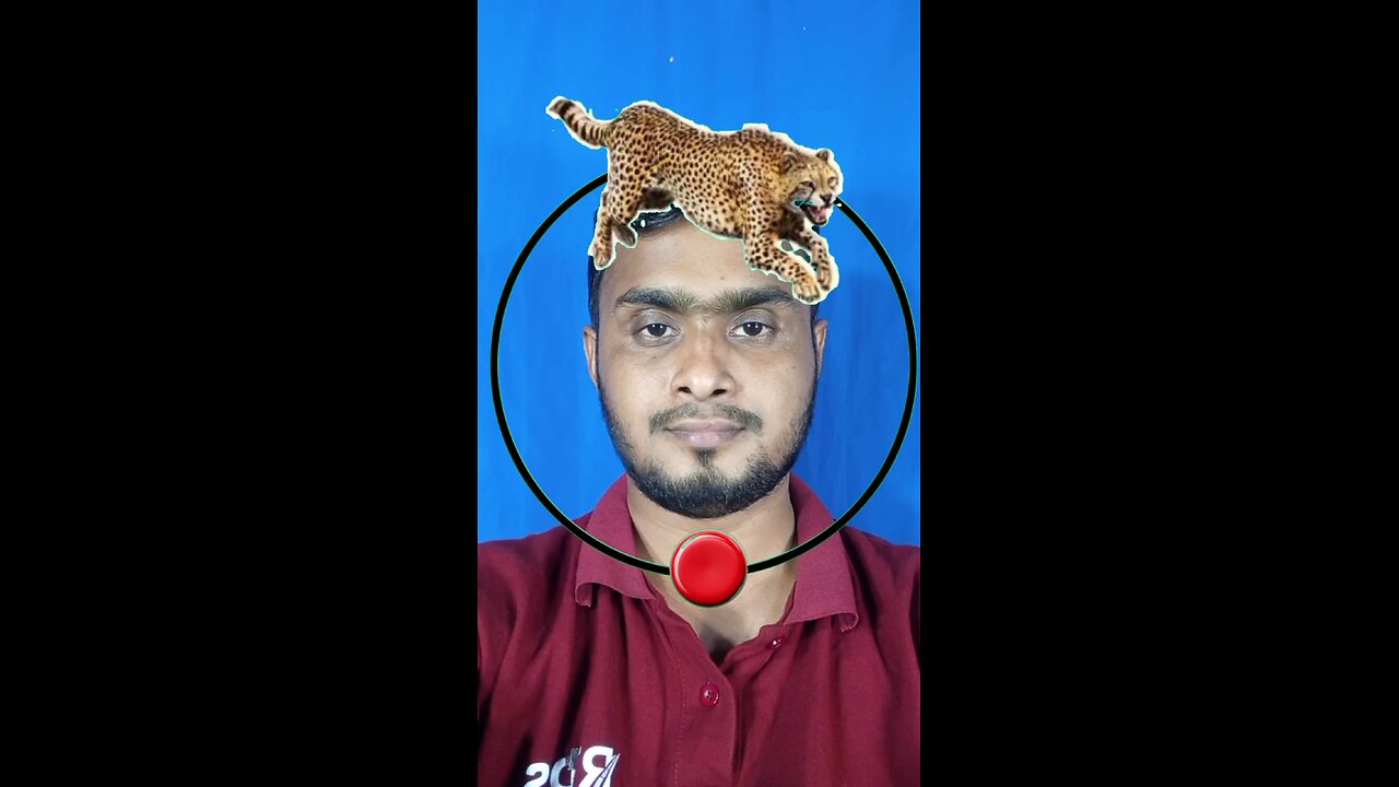 এই চিতা বাঘটি দাঁড় করিয়ে দেখান 04 #shorts #reels #puzzle #challenge #viralreels #tending #foryou