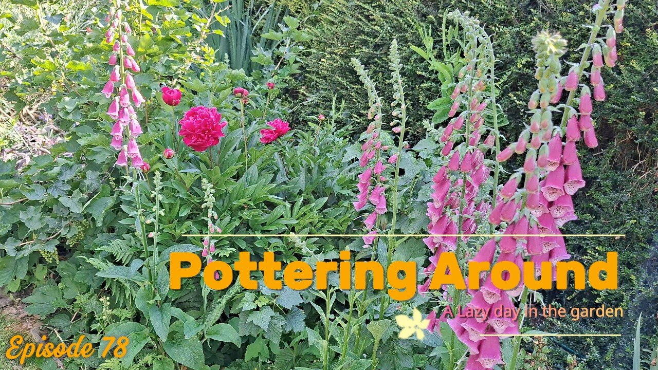 A Relaxing Day in My Summer Garden (Roses, Strawberries & Greenhouse Fun!)