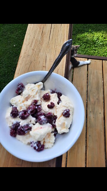 vine ripened and creamed.