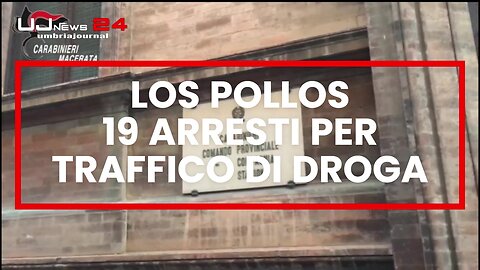 Operazione “Los Pollos”: 19 arresti per traffico di droga tra Macerata, Ancona e Roma