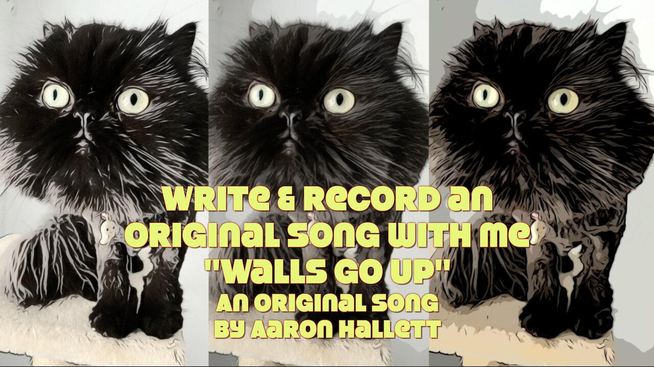 Write & Record an Original Song With Me "Walls Go Up" an Original Song by Aaron Hallett