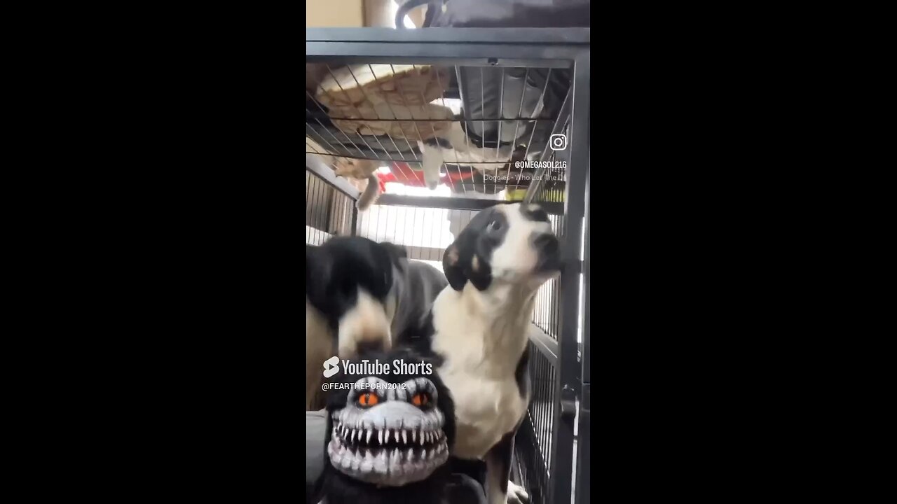 Harry and Ron with Krite