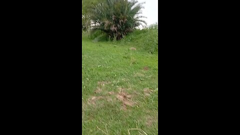 my beautiful village