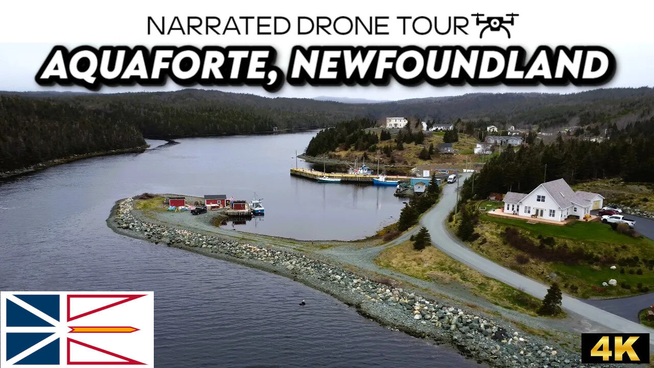 🌊 Aquaforte, Newfoundland and Labrador 🏔️ 4K Drone