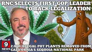 OVER 2000 ILLEGAL CANNAB!S PLANTS FORCFULLY REMOVED FROM CALI'S SEQUOIA NATIONAL PARK AND MORE!!!