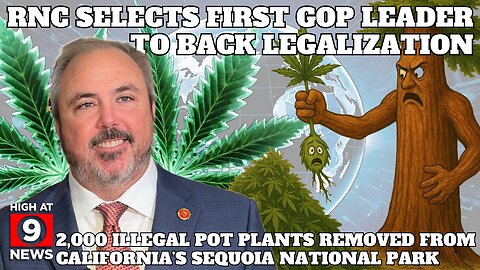 OVER 2000 ILLEGAL CANNAB!S PLANTS FORCFULLY REMOVED FROM CALI'S SEQUOIA NATIONAL PARK AND MORE!!!
