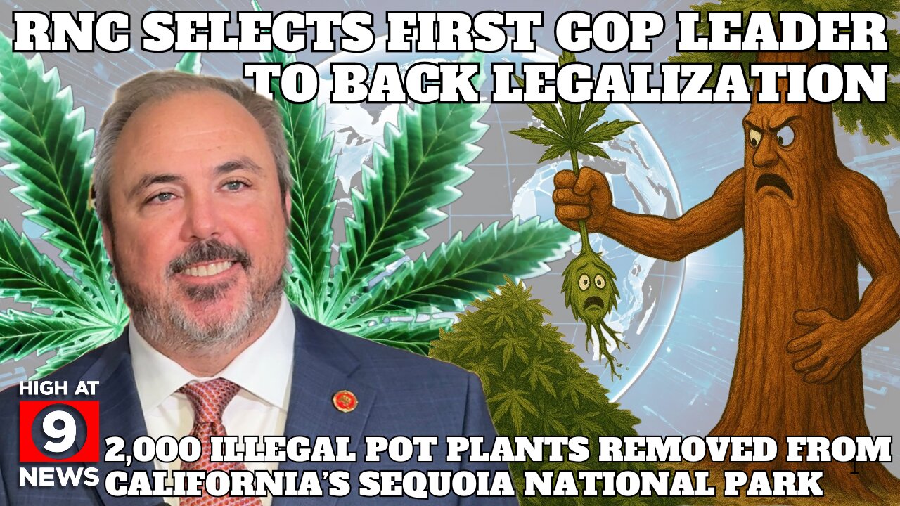 OVER 2000 ILLEGAL CANNAB!S PLANTS FORCFULLY REMOVED FROM CALI'S SEQUOIA NATIONAL PARK AND MORE!!!