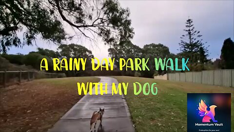 A Rainy Day Park Walk with My Dog. Relax & Play🌲Explore Whitford East Park, Perth.
