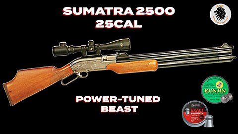 Sumatra 2500 in 25 cal Power tuned with AAO Upgrade kit