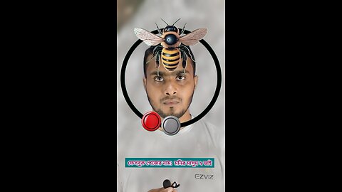 মৌমাছির মাথাটি জোড়া লাগান ১১২ 🧩✅ #reels #viralreels #tending #circle #foryou