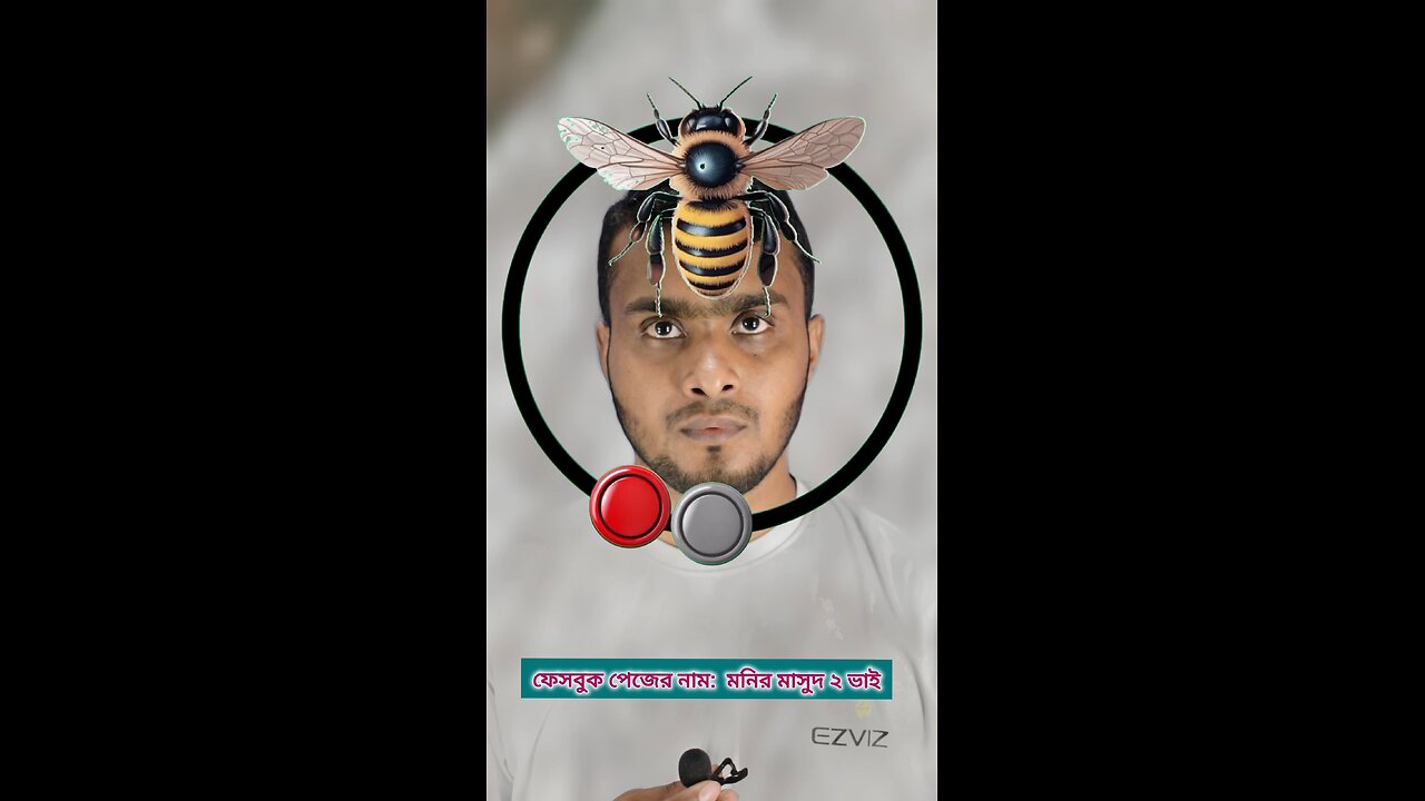 মৌমাছির মাথাটি জোড়া লাগান ১১২ 🧩✅ #reels #viralreels #tending #circle #foryou