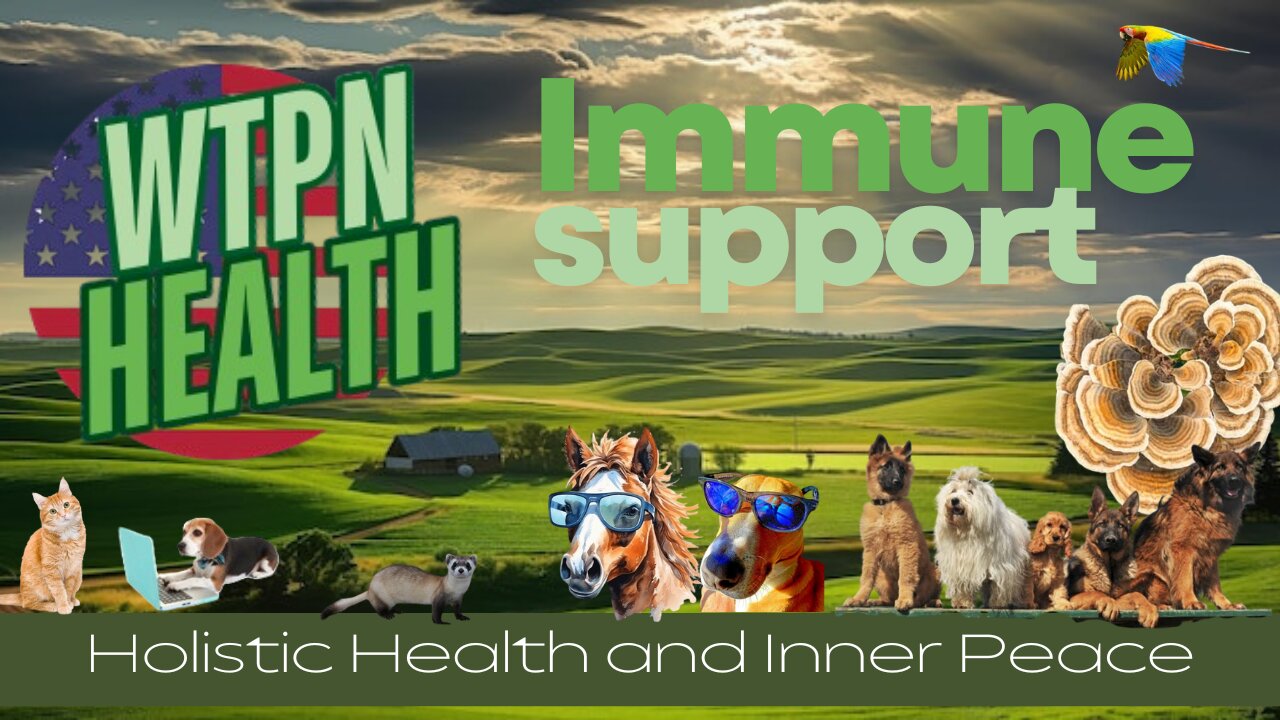 WTPN HEALTH - IMMUNE SUPPORT / WIN WIN / SHROOMS