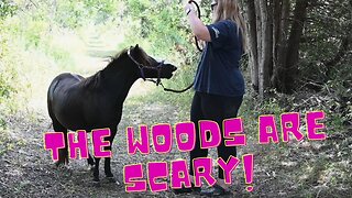 You WON'T Believe What Her LITTLE Pony DID IN THE WOODS!