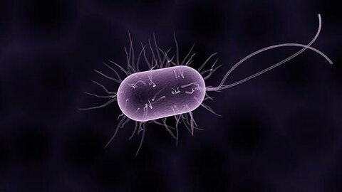 Is everything we have been taught about disease and germ theory flawed?