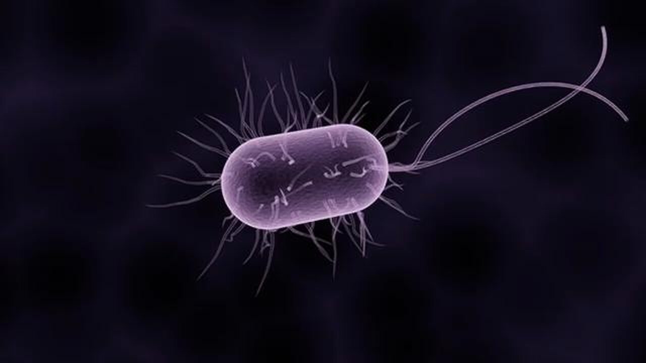Is everything we have been taught about disease and germ theory flawed?