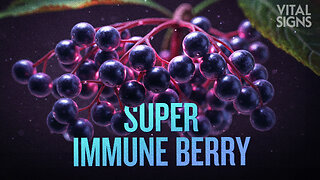 Sip This Much Elderberry to Curb Colds, Flu, Covid | Trailer | Vital Signs