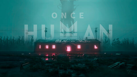 Once Human