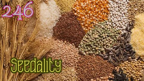 Midnight Oblivion Pt 246: Seedality