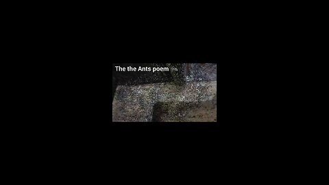 ants