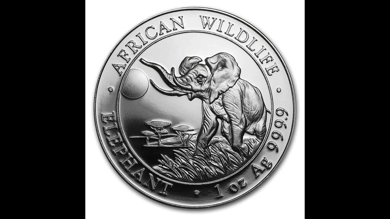 African Wildlife Elephant Silver Rounds