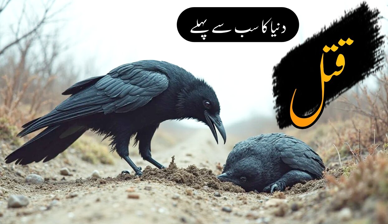 Habeel aur Qabeel ka Waqia | Story of Cain and Abel | Habil and qabil story | Quranic Stories