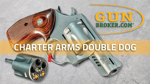 Charter Arms Debuts Dual-Caliber Innovation in the New Double Dog Series | GunBroker
