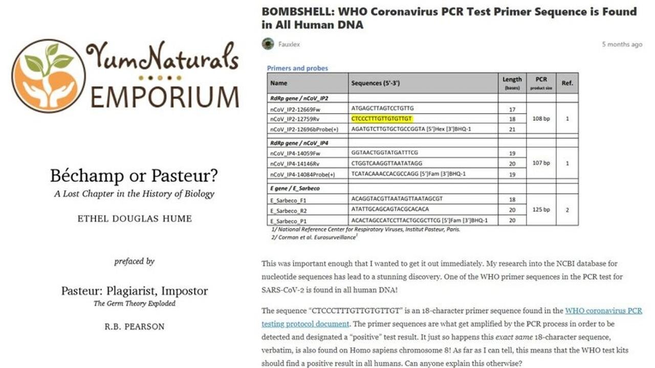 [Aug 20, 2020] Bombshell Evidence that COVID RNA Base Pairs are Identical to Chromosome 8 Human DNA [YumNaturals Emporium]
