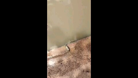 ये बाहर कैसे आ गई