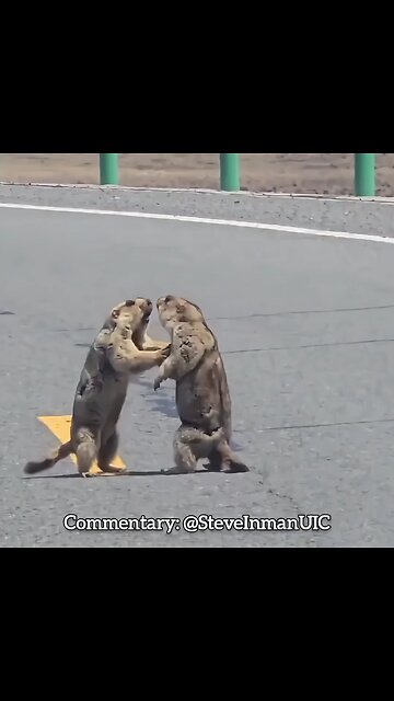 Big Trouble in Little China