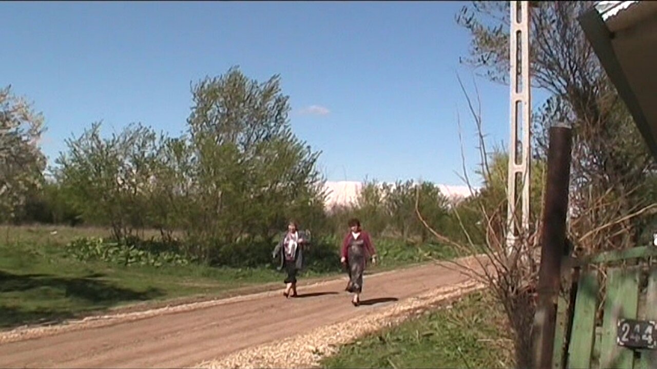 Cosmești, 2012