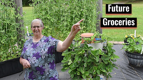 Garden Update 2025, Slug Prevention, Inspirational Thought