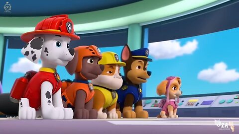 PAW Patrol Cartoons