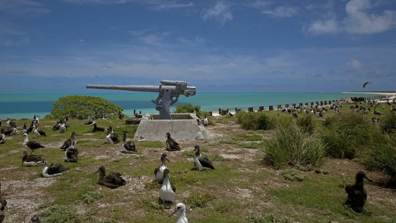 Midway Atoll is home to two million birds