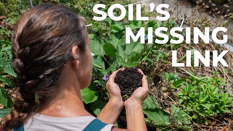 Understanding How Soil Biology Works - The basics & easy how to