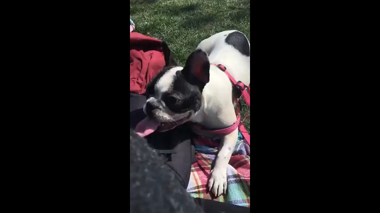 SUNDAY MOOD
