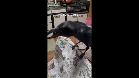 Crow core