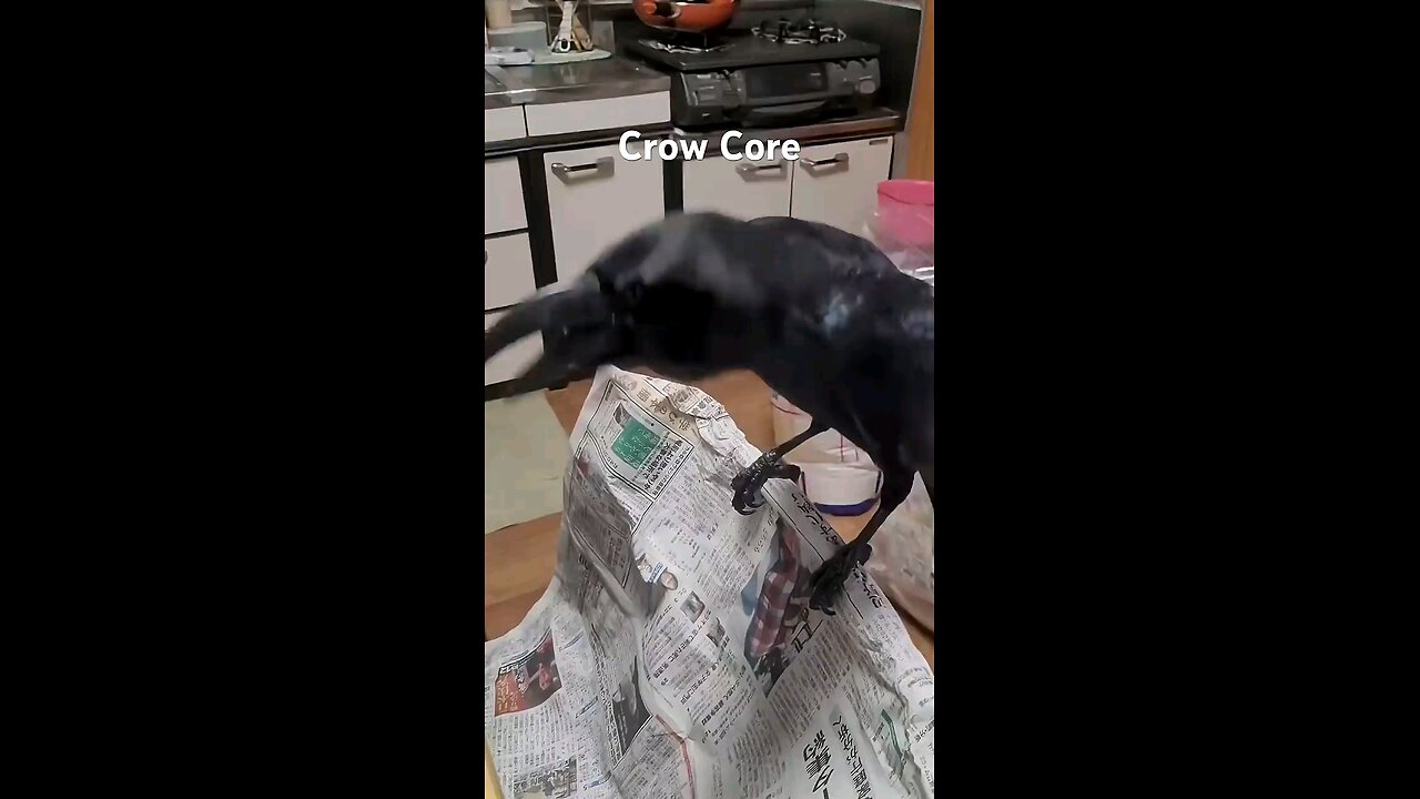 Crow core
