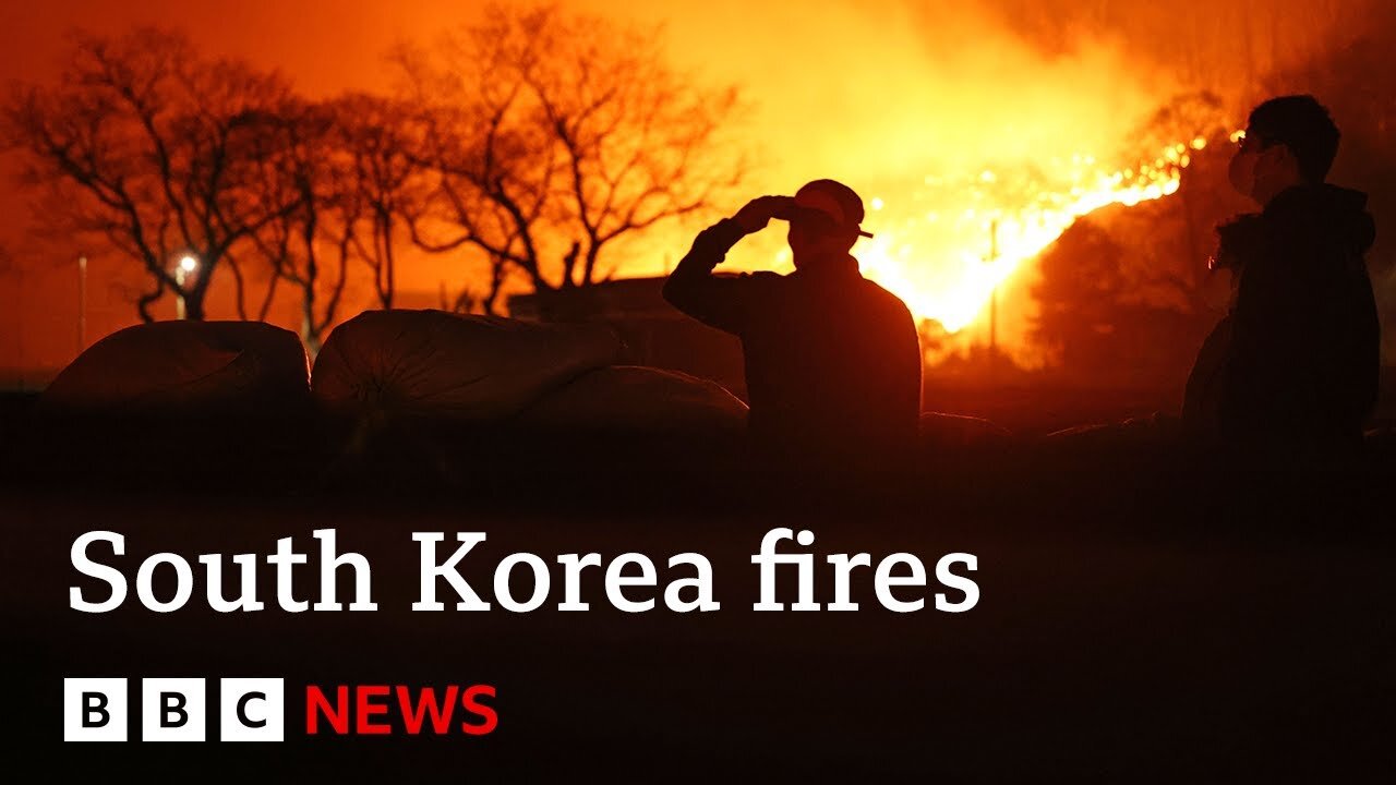 🔥 At Least 24 Dead in South Korea’s ‘Worst Ever Fires’ – Tragedy Unfolds