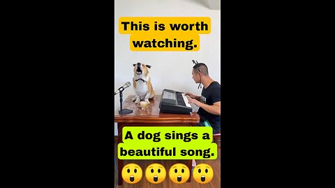 A dog singing a song😲 #dog #animals #trending