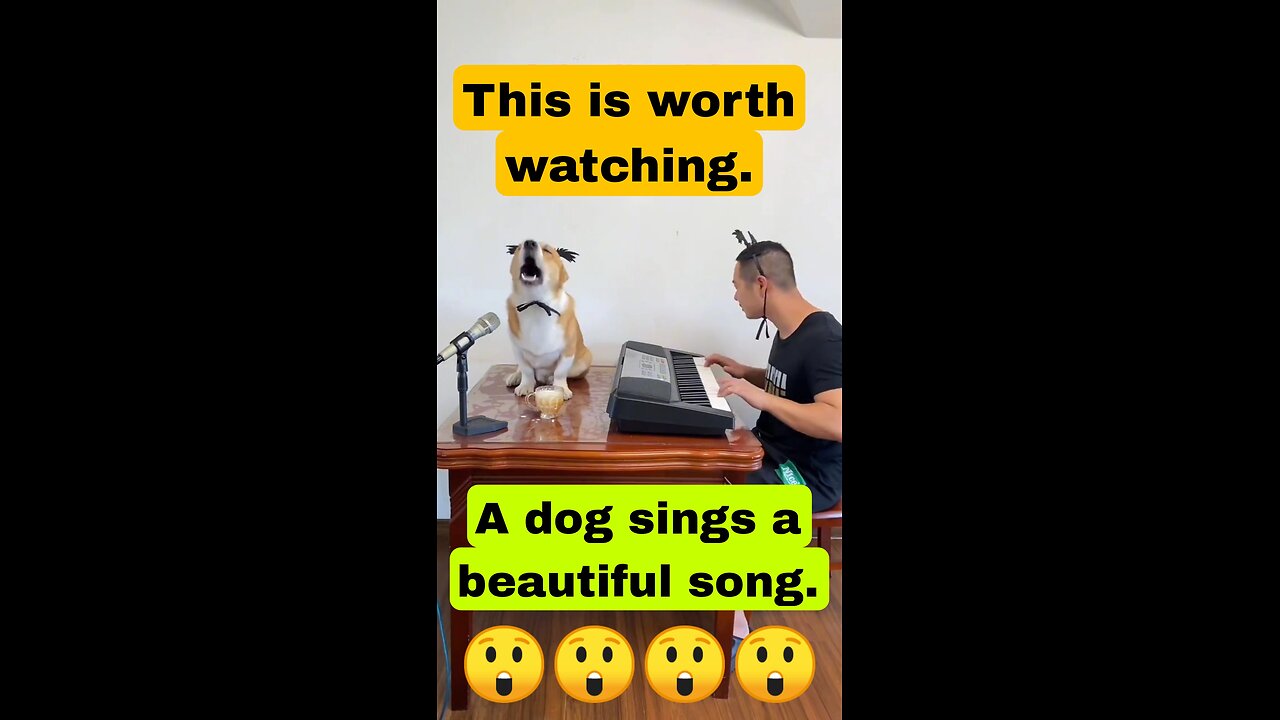 A dog singing a song😲 #dog #animals #trending