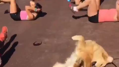 Anything But Exercise